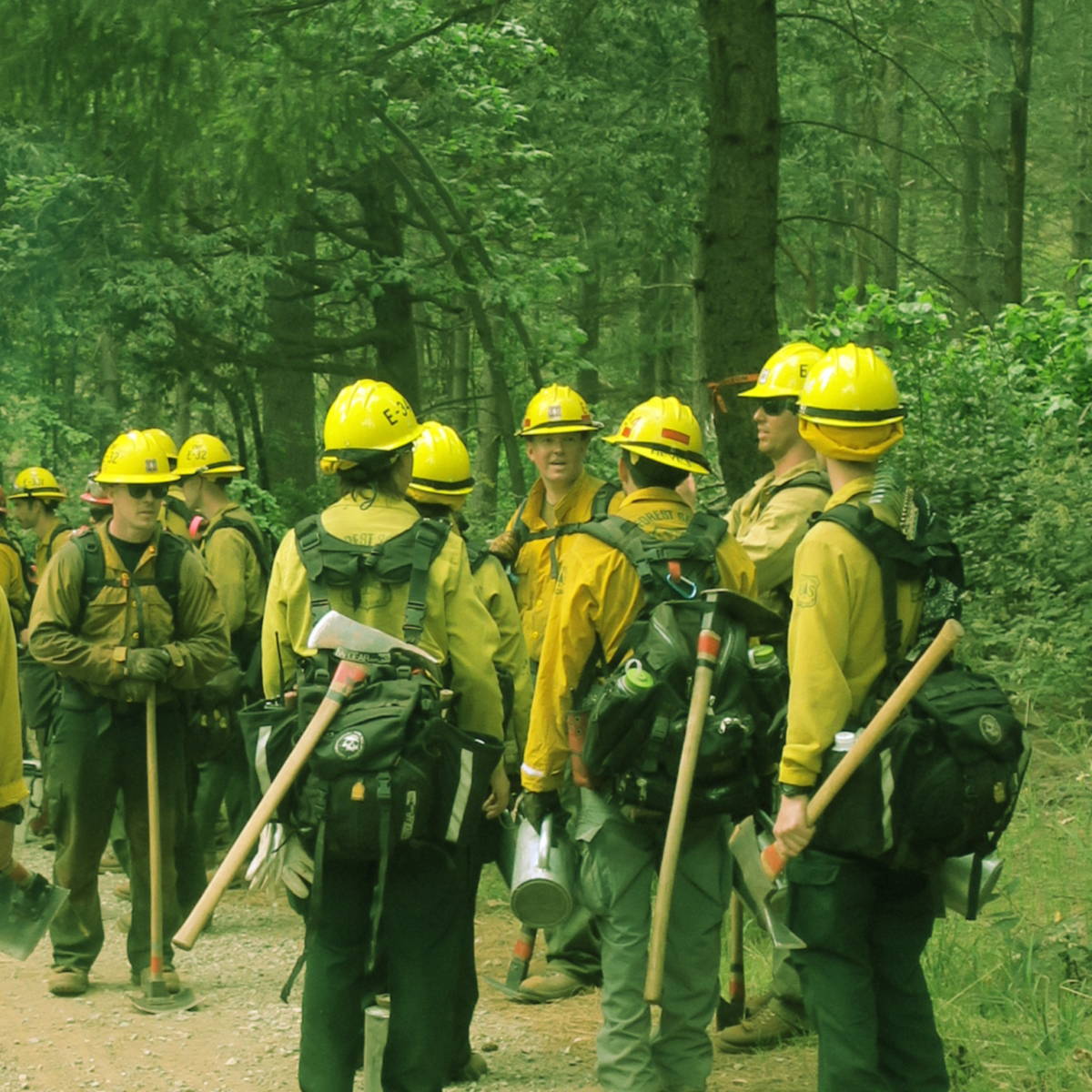 a group of people wearing construction gear in a forest
