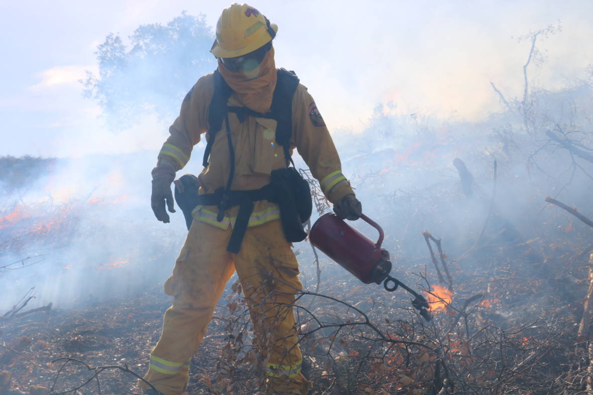 a fire person stands in a burning, smoky field and is holding a flame torch. the fire person is deploying a prescribed burn
