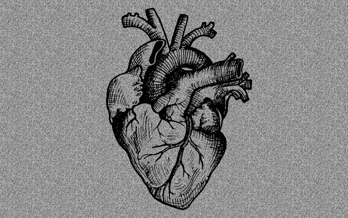 sketched illustration of a human heart with grey grainy overlay