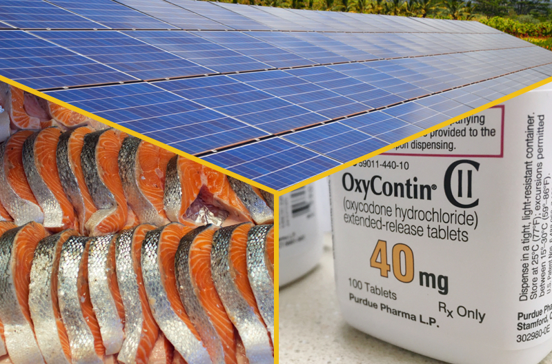 three images, of solar panels, salmon at a fish market, and a pill bottle labeled "oycontin"