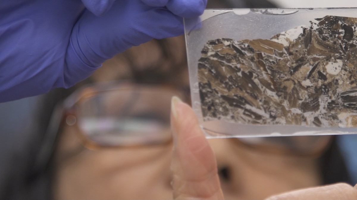 a close up of a thin slice of rock in a slide that a woman wearing glasses examines