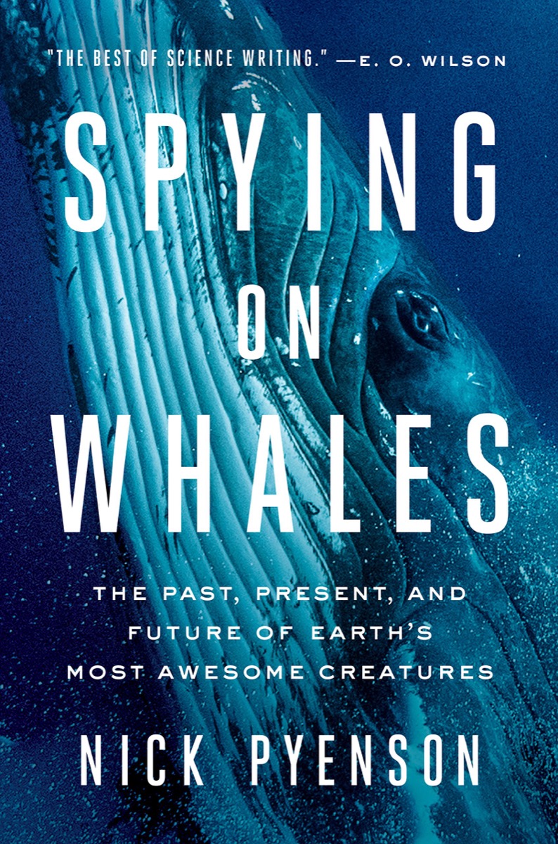 book cover with giant blue whale under the water