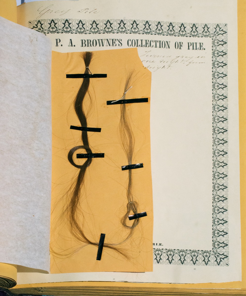 Two human hairs, pasted onto a yellow piece of paper