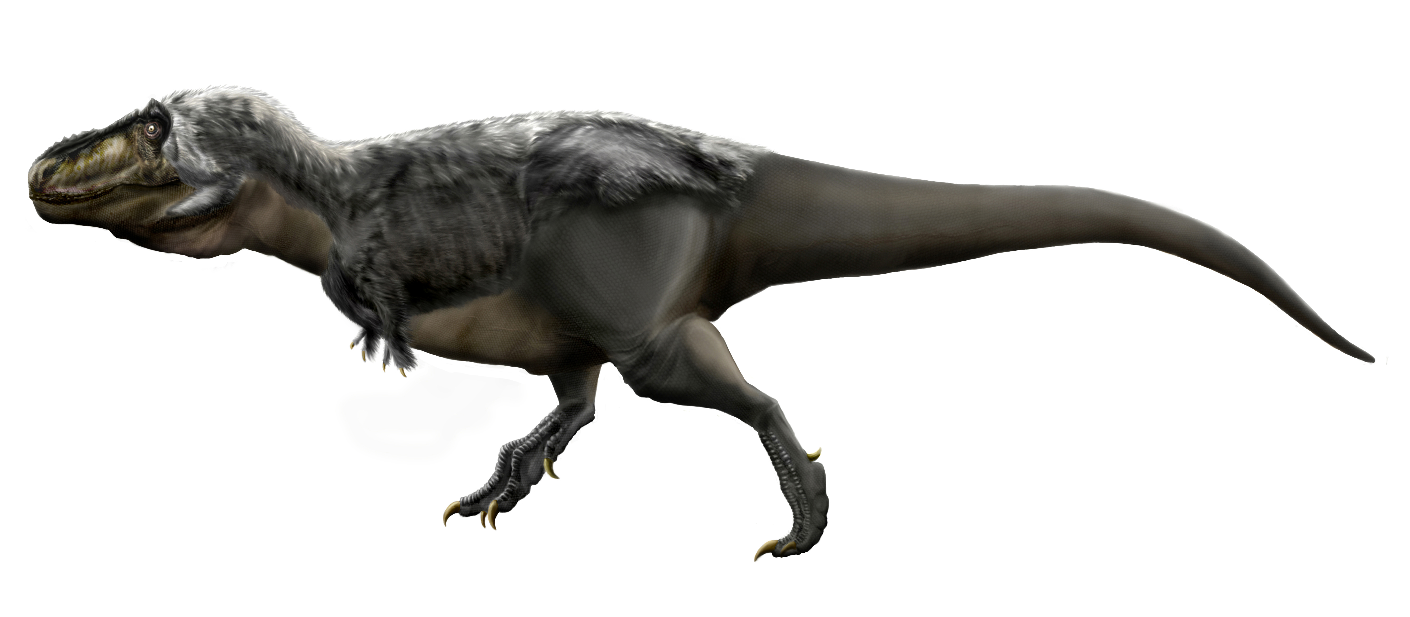 How Do We Know What Dinosaurs Looked Like 