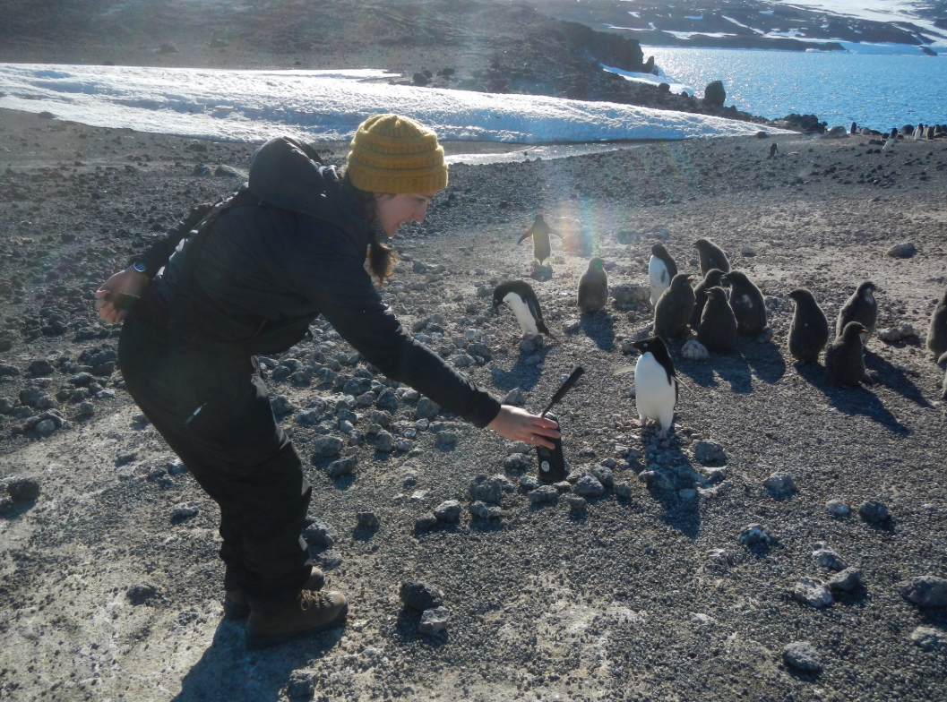 a woman in winter gear bends down with a microphone to interview a penguin in front of a small waddle of penguins. she's in antarctica