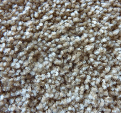 close view of a grayish, thick piled carpet 