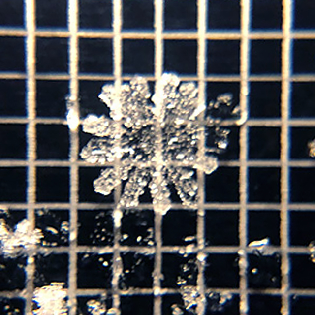 a snowflake with 12 points with a grid measuring background behind it