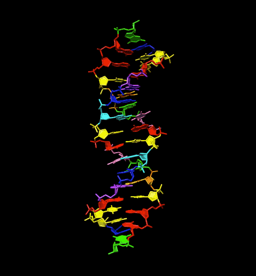 swirling 3-d video of double helix with blue yellow red and green structures