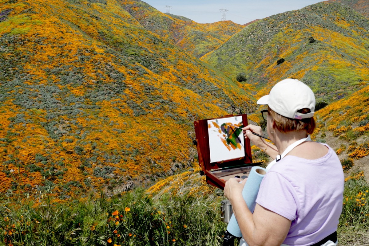 woman in the foreground with her back to the camera paints stripes of the colors she sees before her in the flowers, orange green and some purple