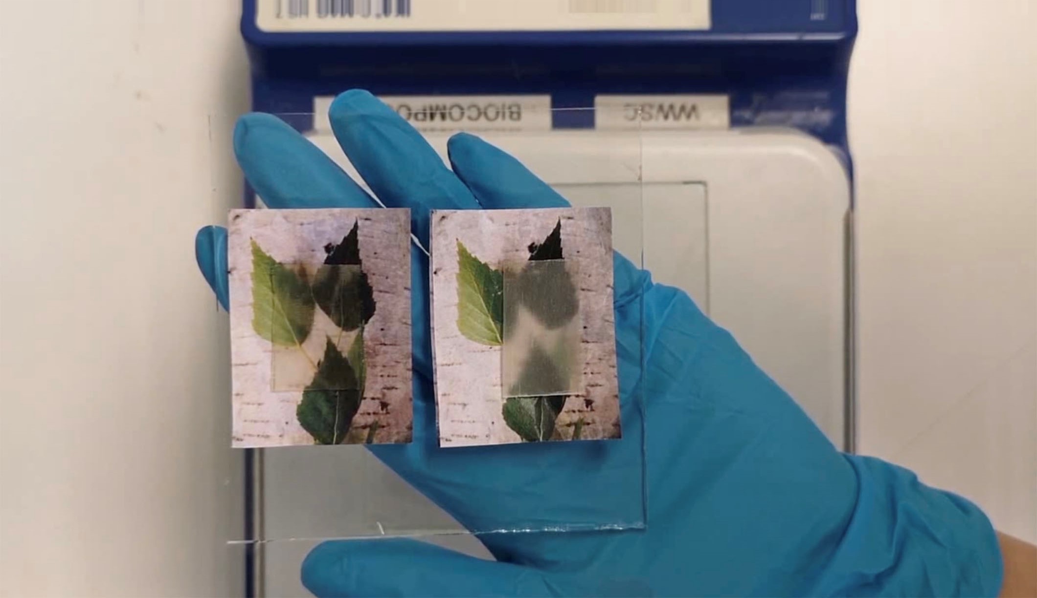 a gloved hand in a lab, holding two transparent materials over the same picture of leaves. Underneath the material on the left, you can see the leaves somewhat clearly; under the material on the right, the image is more blurred