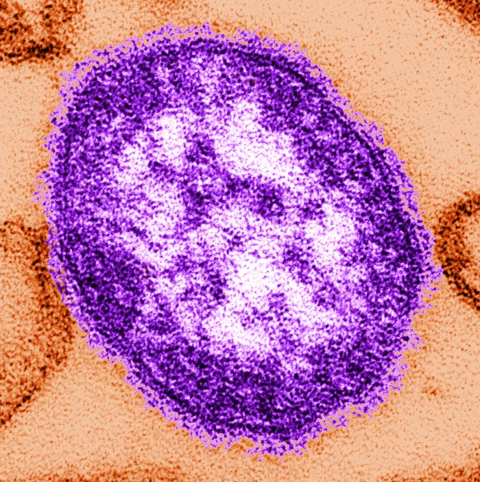 a circular virus that is colored purple on an orange background