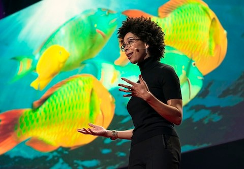 Ayana Elizabeth Johnson