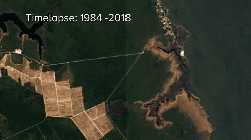 a timelapse of google earth satellite imagery of the north carolina coast between 1984 to 2018. over time, the dark brown dead patches of forest increasingly creep inland