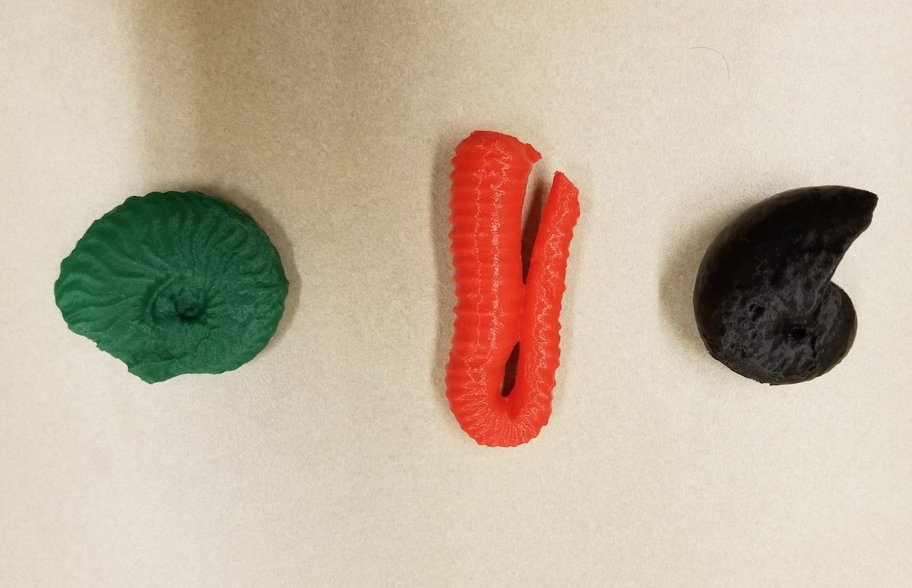 three different 3D printed shells. the one on the left is green and more circular, the one in the middle is red and longer and curved, the third on the right is black and looks more like a horned cornucopia