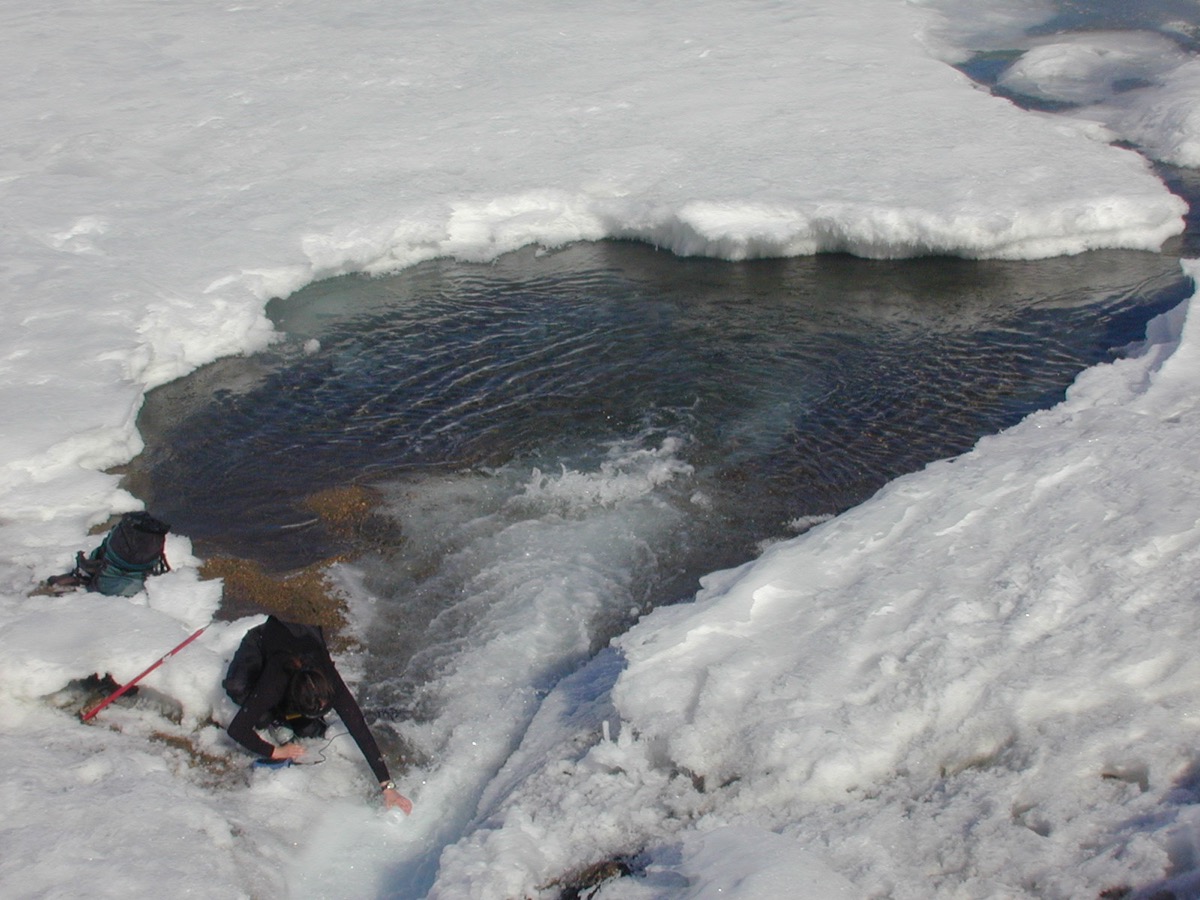 looking downward from a gushing stream carving through a glacier, a woman below with lab equipment reaches down to collect the water pooling in a basin next to her