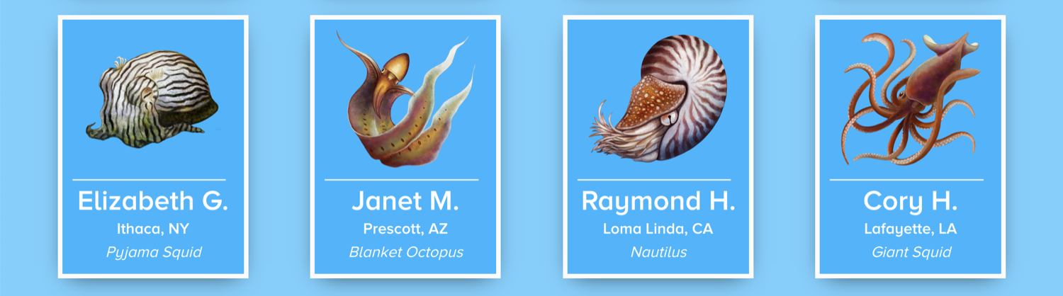 four different illustrated cephalopod species, each with a donor's name, a city, and the name of the cephalopod