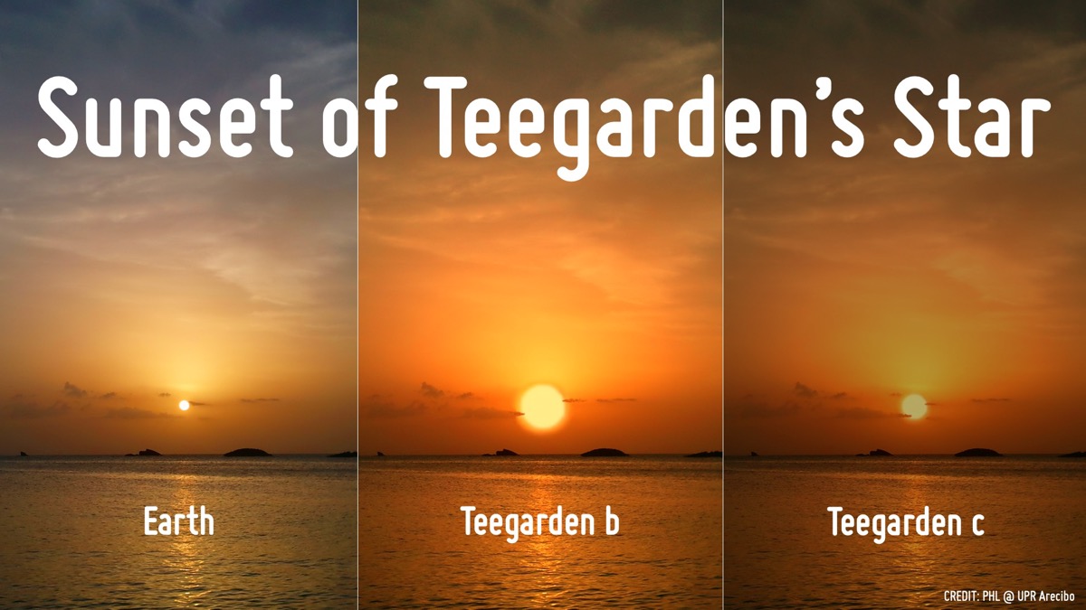 three sunsets, side by side. the leftmost is of the earth. the second, a simulation of exoplanet teegarden b, is double the size. the rightmost, a simulation from the potential exoplanet teegarden c, is about the same size as earth's