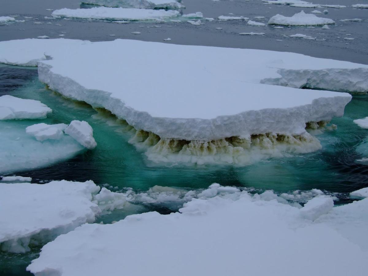 mid-range view of a white iceberg floating on blue water, with a grimy brown line visible where the iceberg meets the water