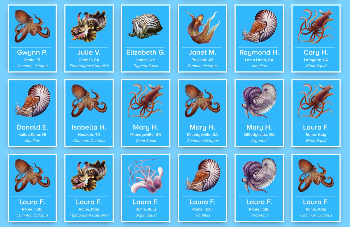 a screenshot of a bunch of blue tiles of illustrated cephalopods with the first names and locations of donors who sponsored the cephalopod