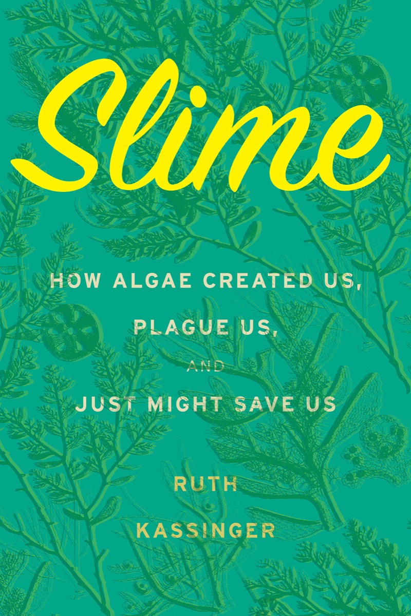 light green book cover with yellow cursive writing that says 'slime'