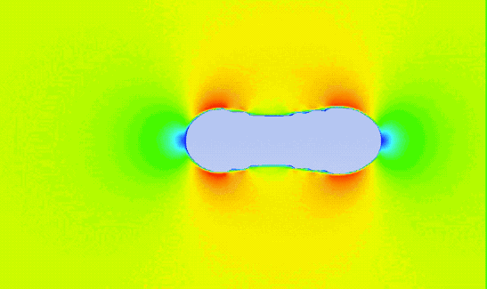 an animated gif of a gray amorphous oval in the middle. around it are blue, yellow, green, red, and orange waves of color that flash and grow as water moves around the gray blob (the shell). 