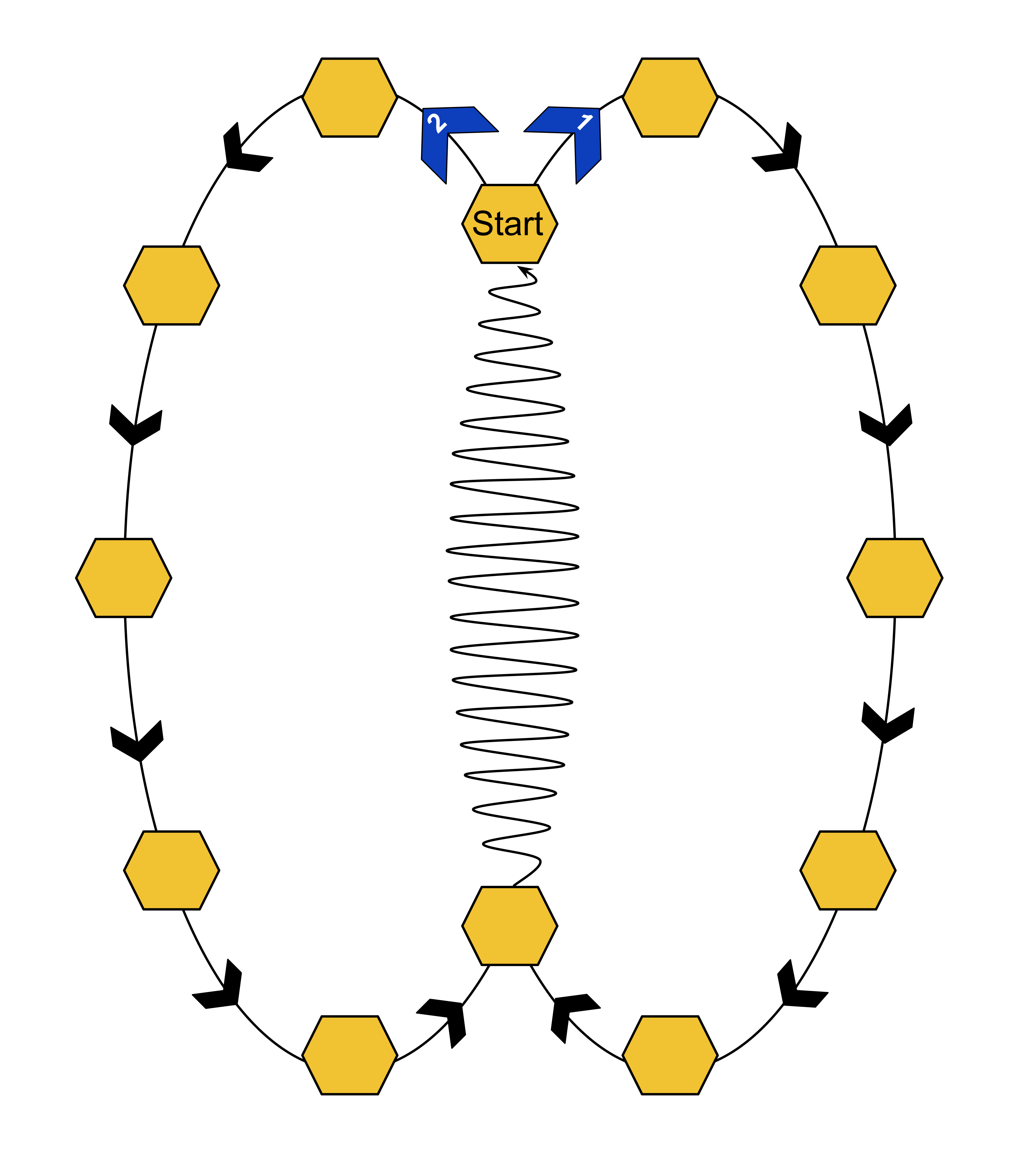 a colored diagram showing two ovals with various yellow hexagons along the edge of the oval paths. at the top hexagon where the two oval lines meet is the word "start". in the middle of the ovals is a squiggly line