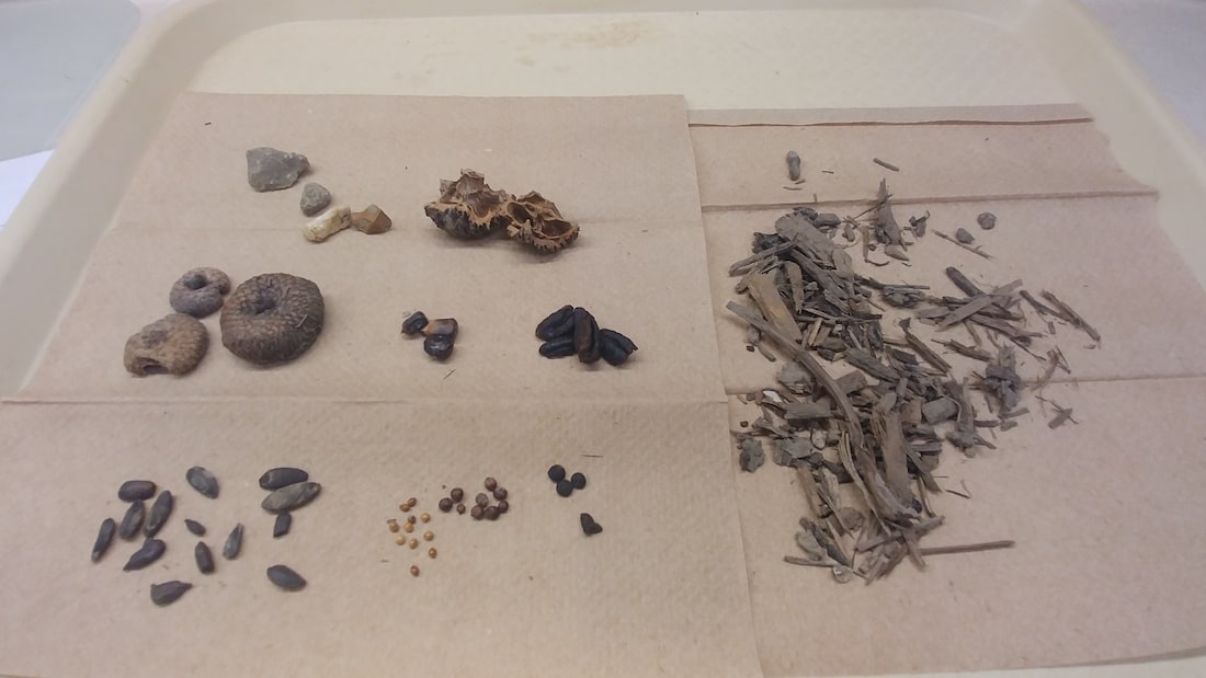 scattered rocks and plant residue and also some twigs and wooden pieces lying scattered across a brownish sheet