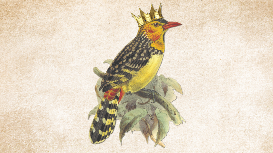 colorful yellow bird watercolor on yellowed paper background. the bird is wearing a perfect crown