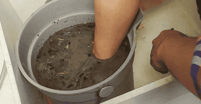 moving gif image of hands dredging around in a bucket full of muddy, soil-filled water