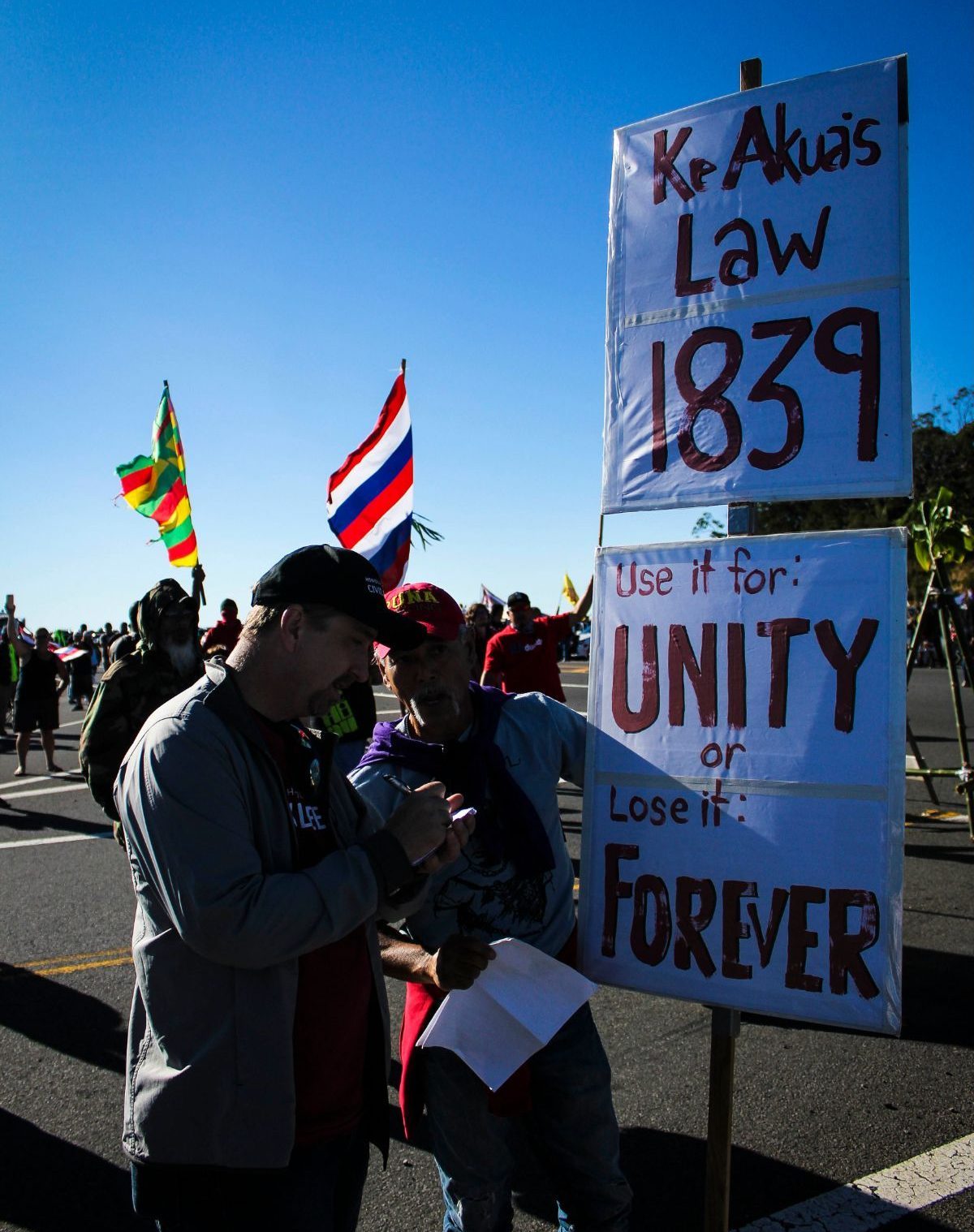 protesters/protectors hold flags and signs on mauna kea