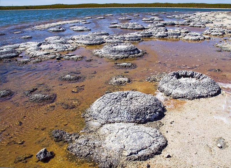 flat-ish speckled rocks next to and in a shallow lake