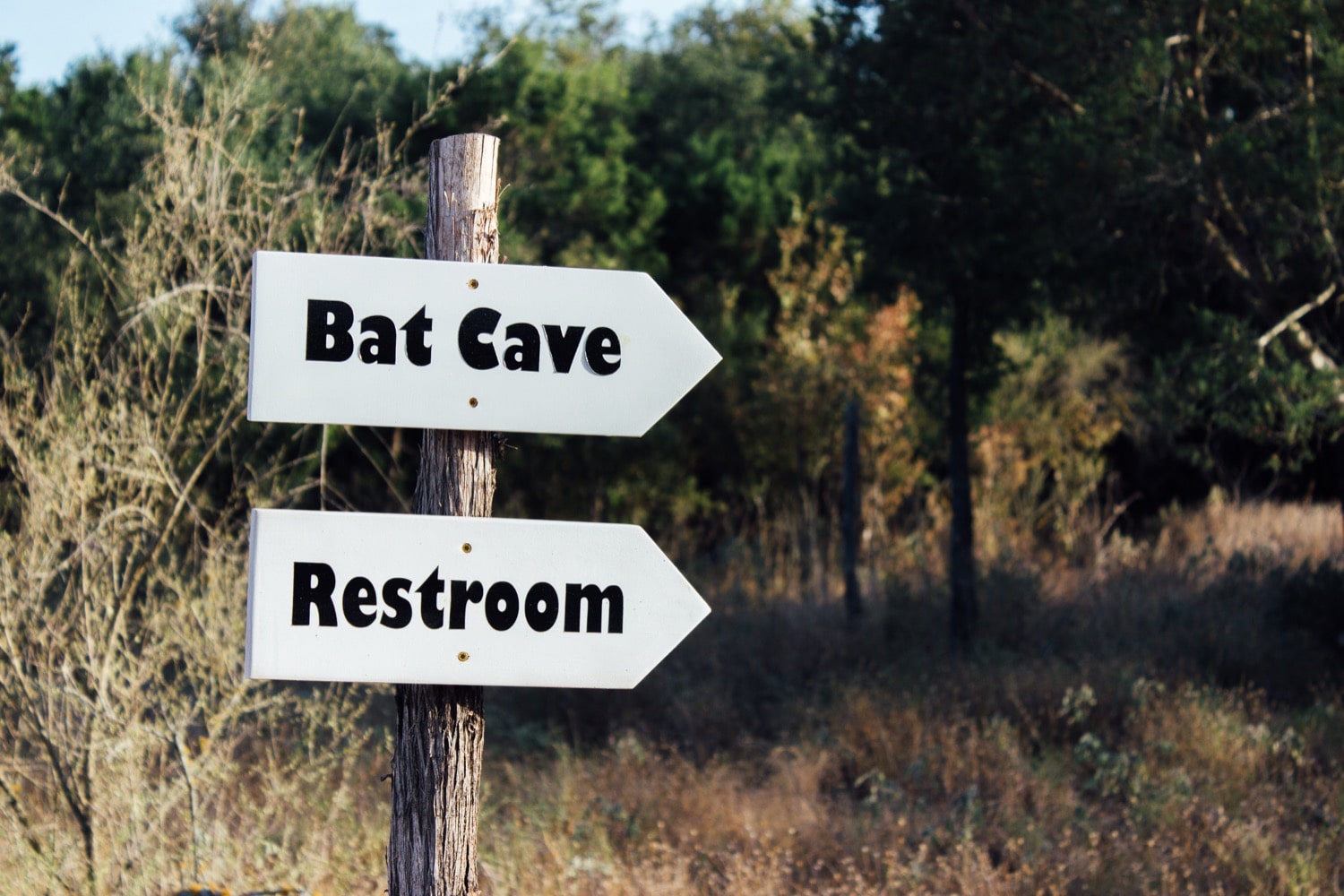 a sign in the wilderness that has two arrows, one that says 'bat cave' the other that says 'restroom'