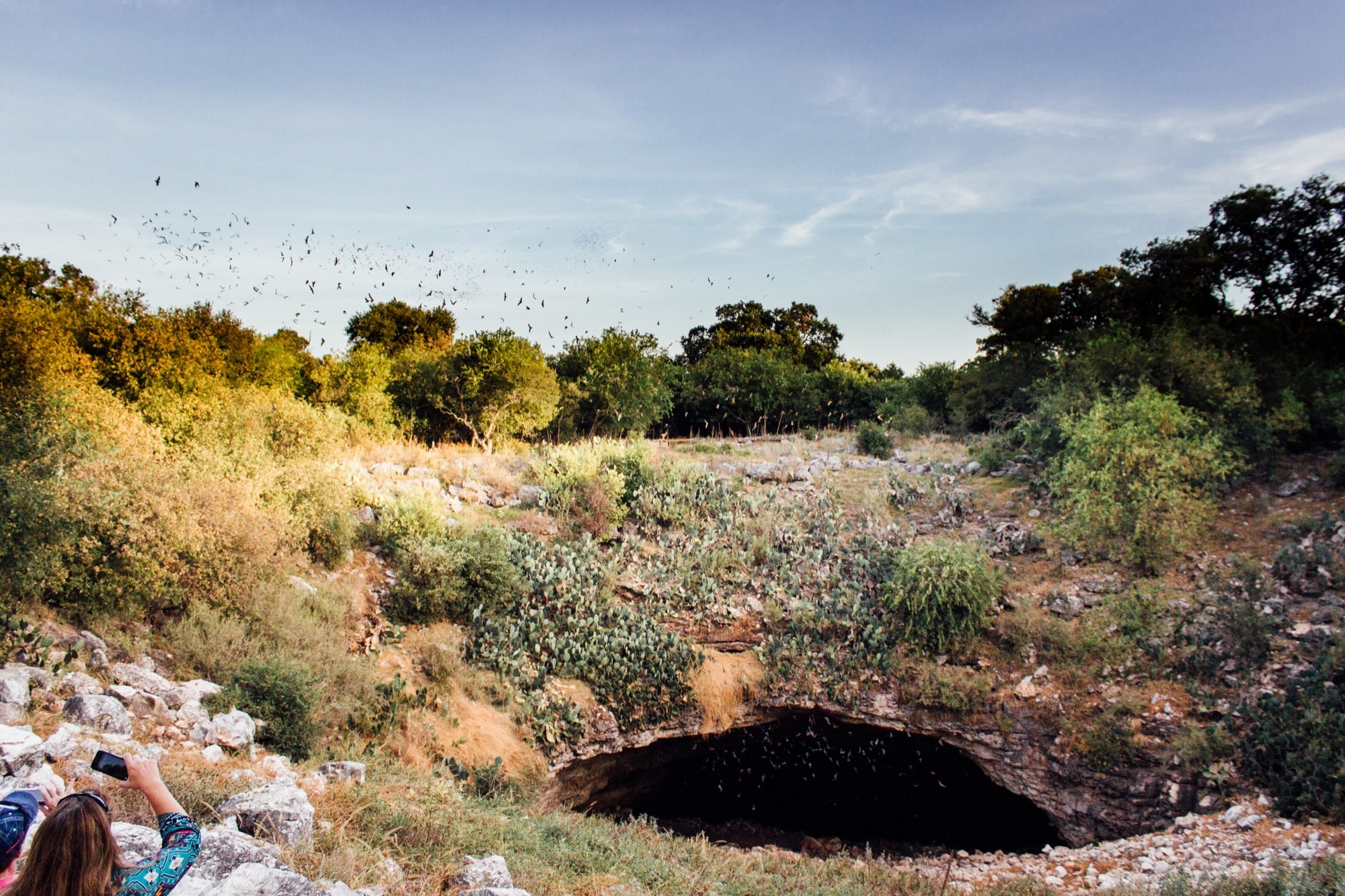 a landscape, including a cave, with bats flying out of it