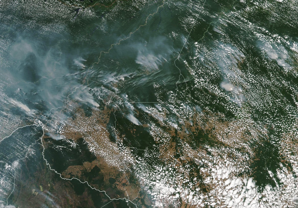 a colored satellite image of a green forest, with large clouds and trails of smoke jetting from it