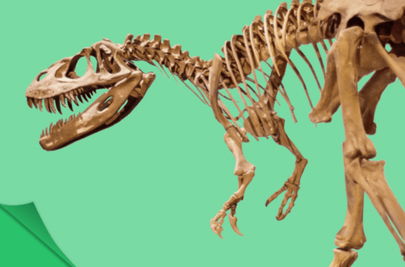 How Fast Did T. rex Run?' and other questions about dinosaurs examined in  new book