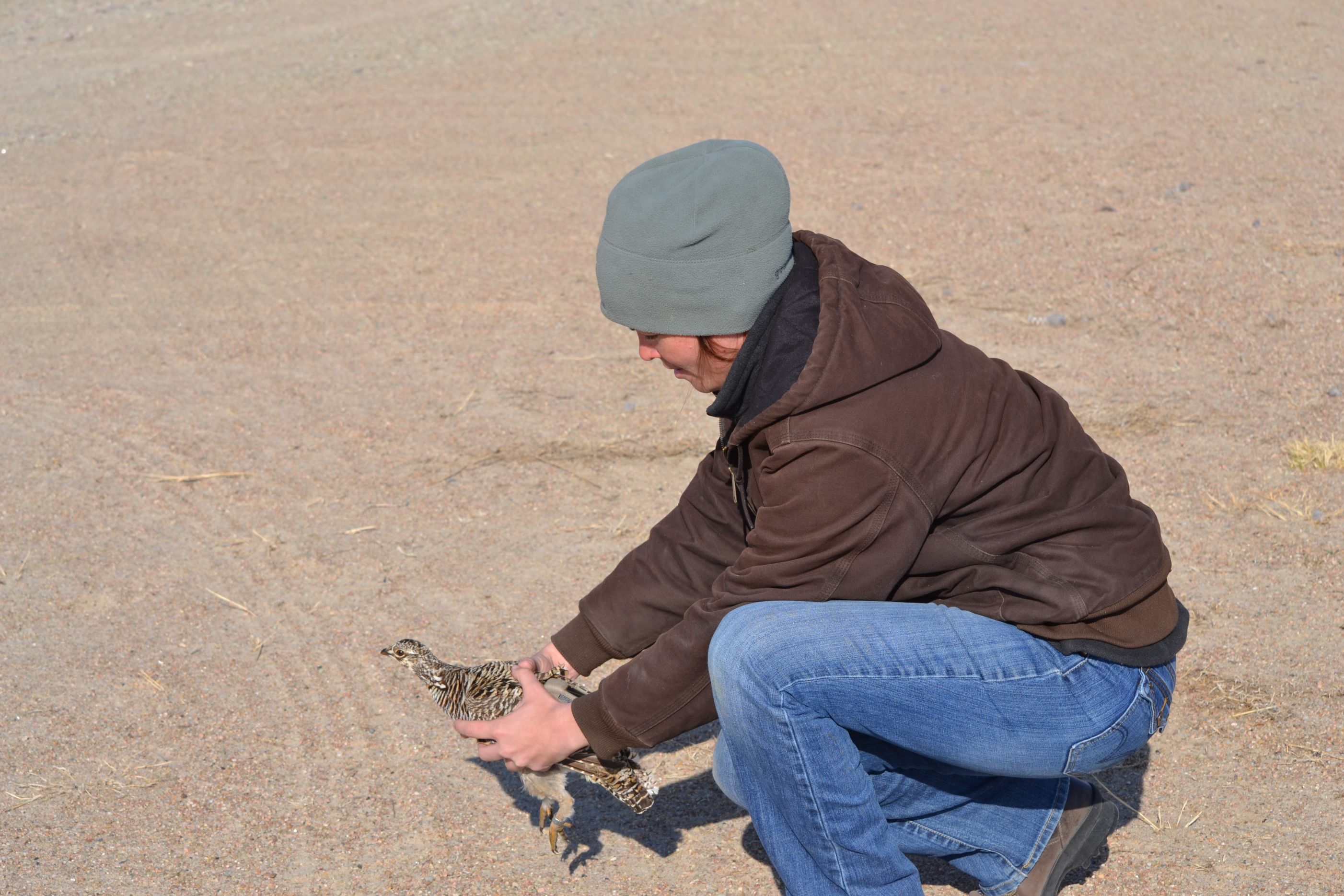 a woman kneeling down on gravel with a bird in her hands