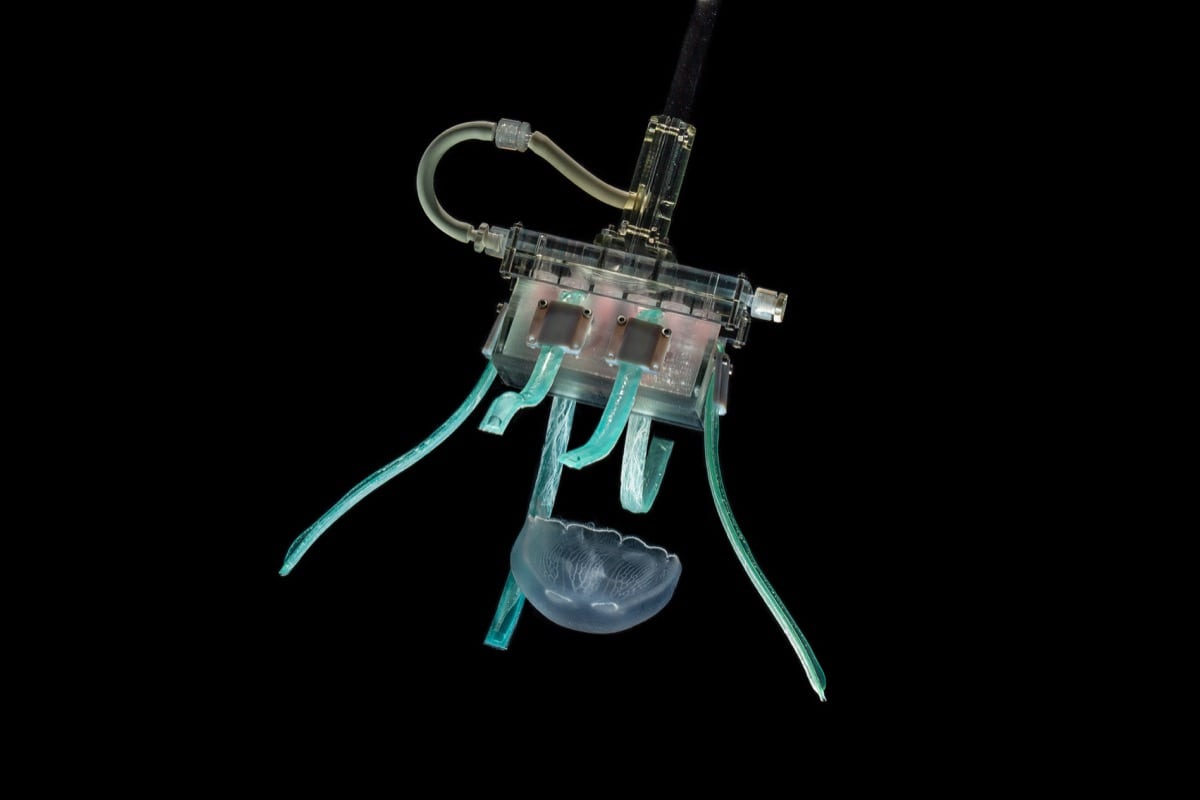 robot with noodle-like arms and a whitish jellyfish floating underneath it against a black background