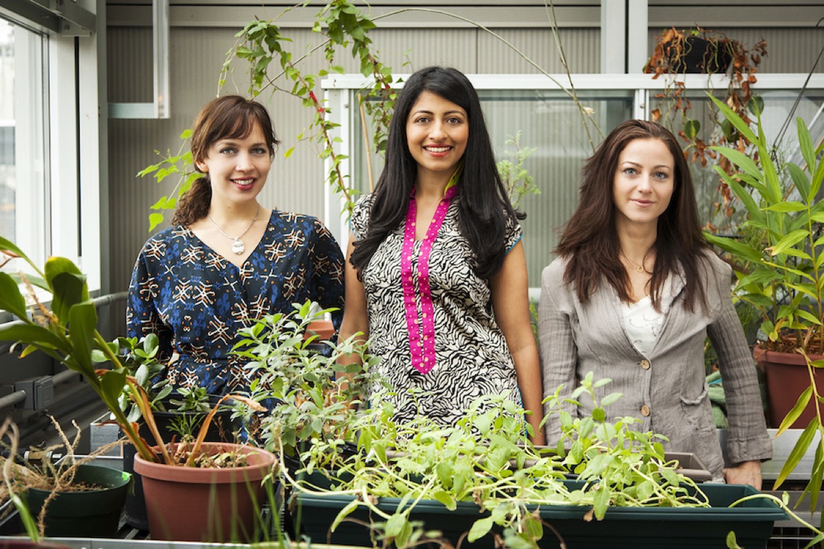 three women botanists in a lab with various plants around them