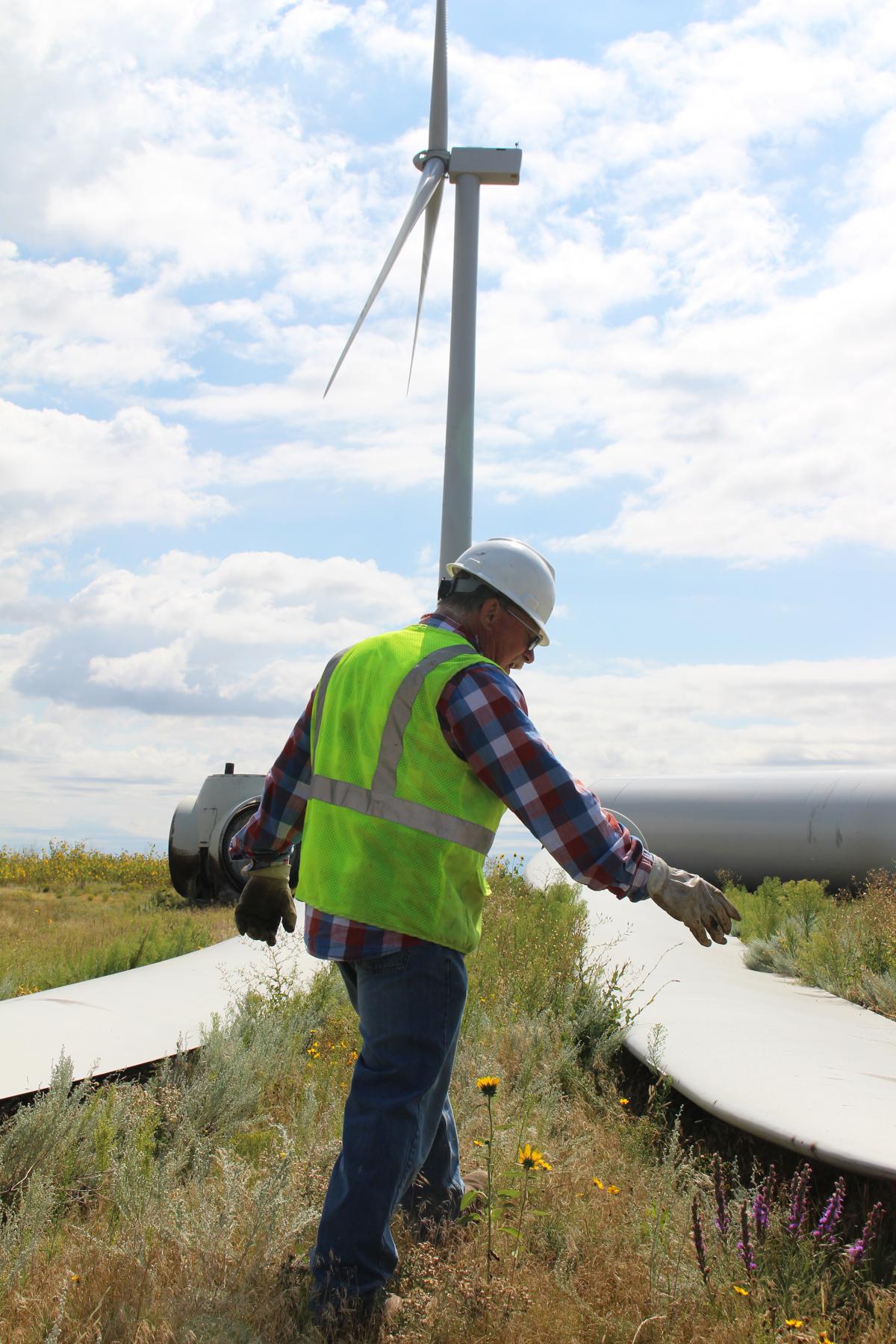 a worked in a safety vest and a hard hat walks between blades on the ground with a functioning wind tower in the background