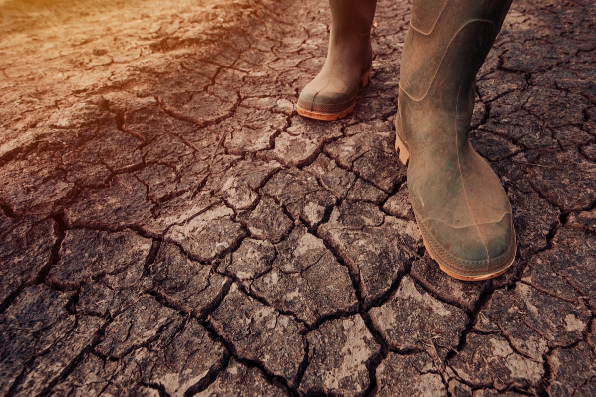 Farmer walking on dry soil