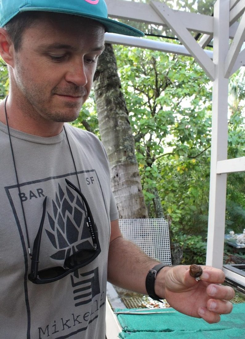 Researcher holding a baby coral.