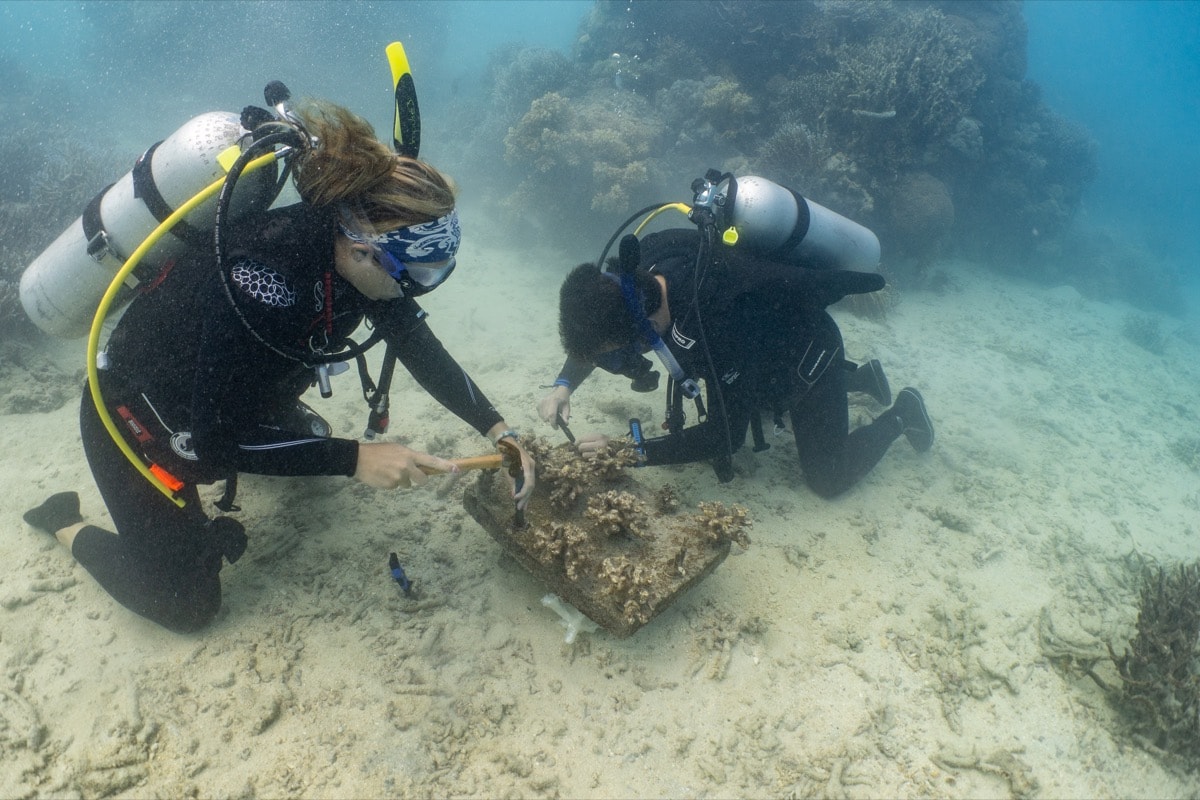 Divers taking notes underwater