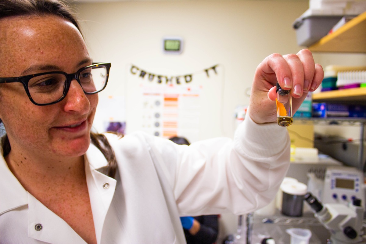 a scientist holds a small vial filled with a yellow liquid and tick guts