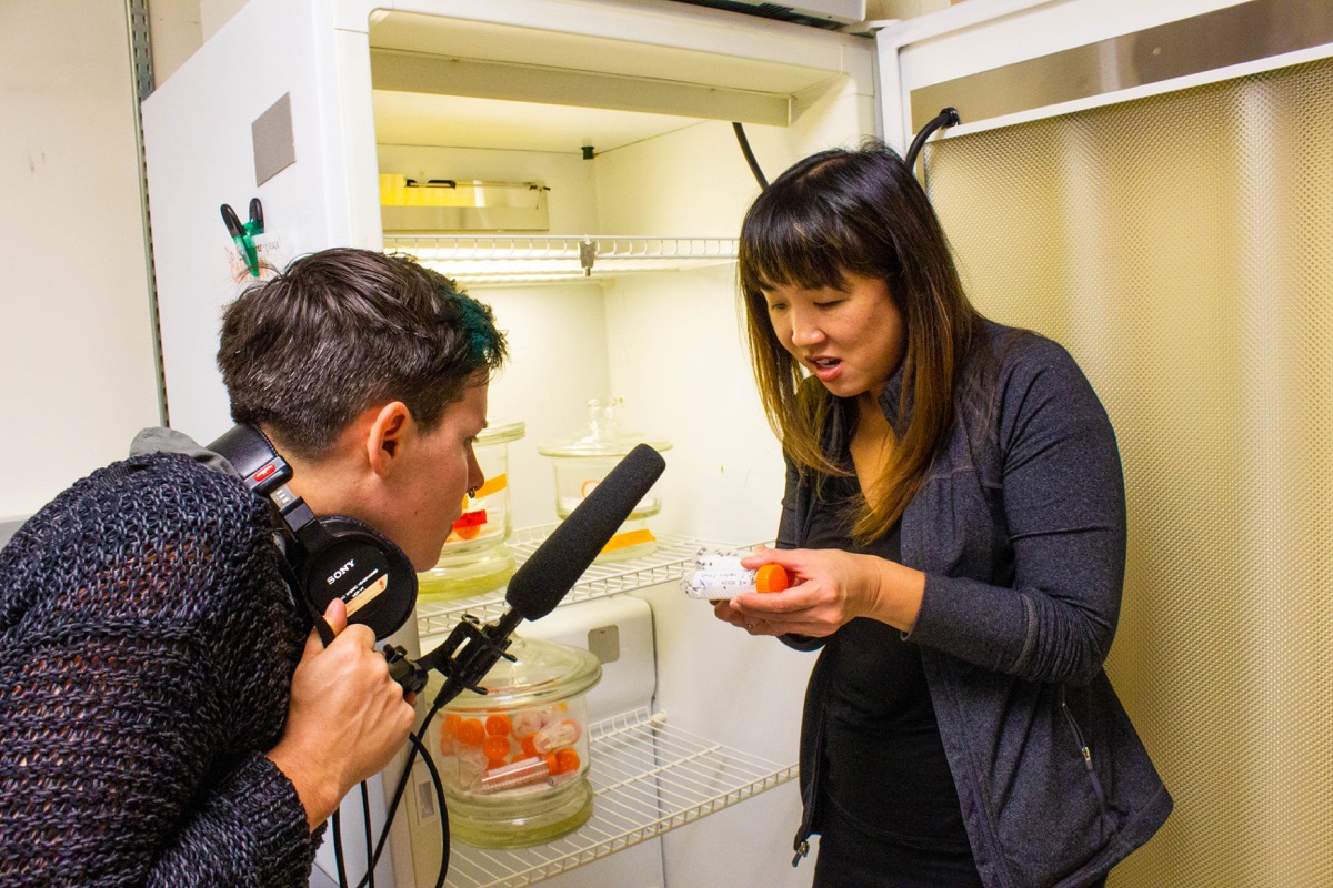 a female scientist holds a test tube full of ticks for a radio producer to see