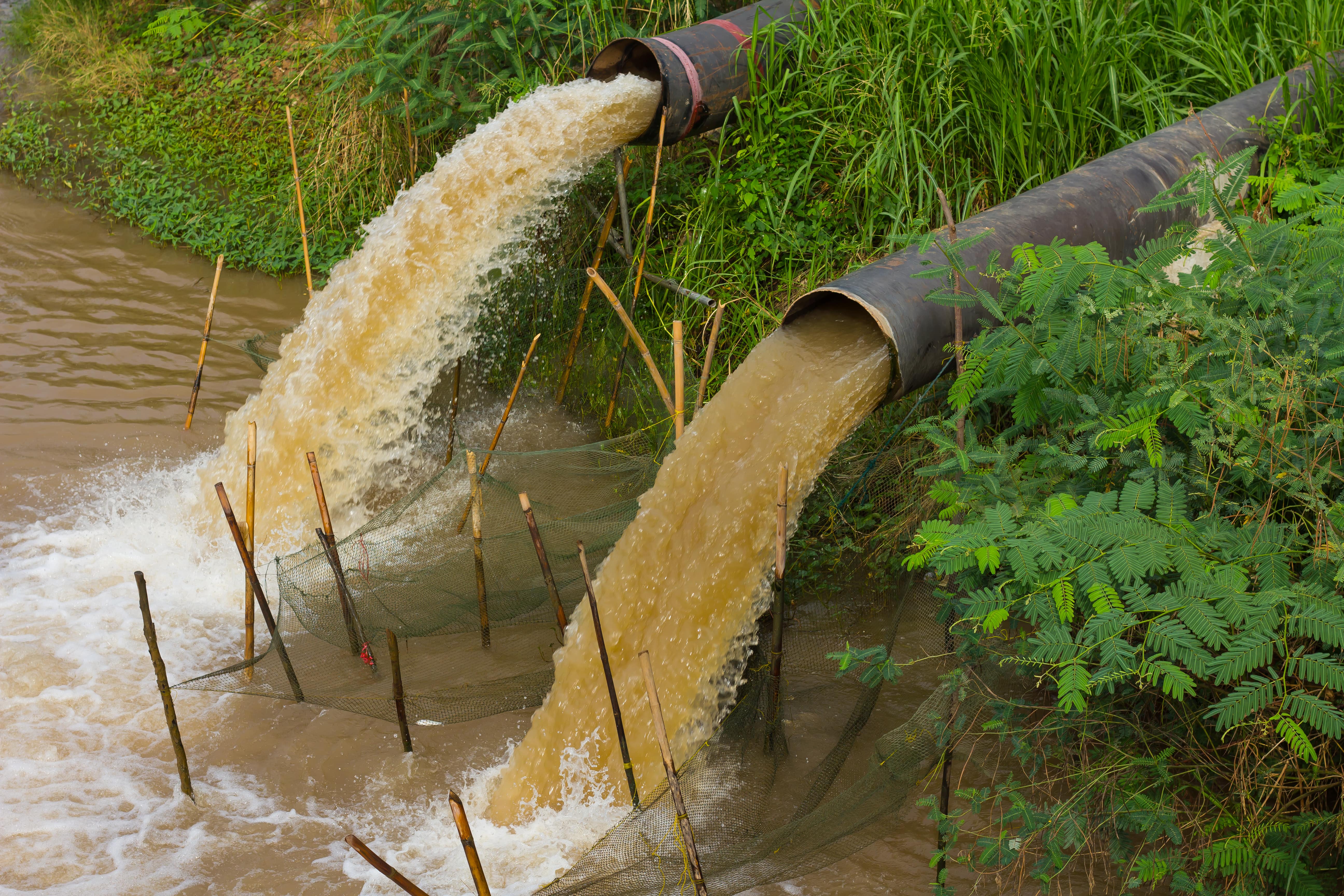 Water flow stops away from the sewer into the river, which is grass-covered coast.