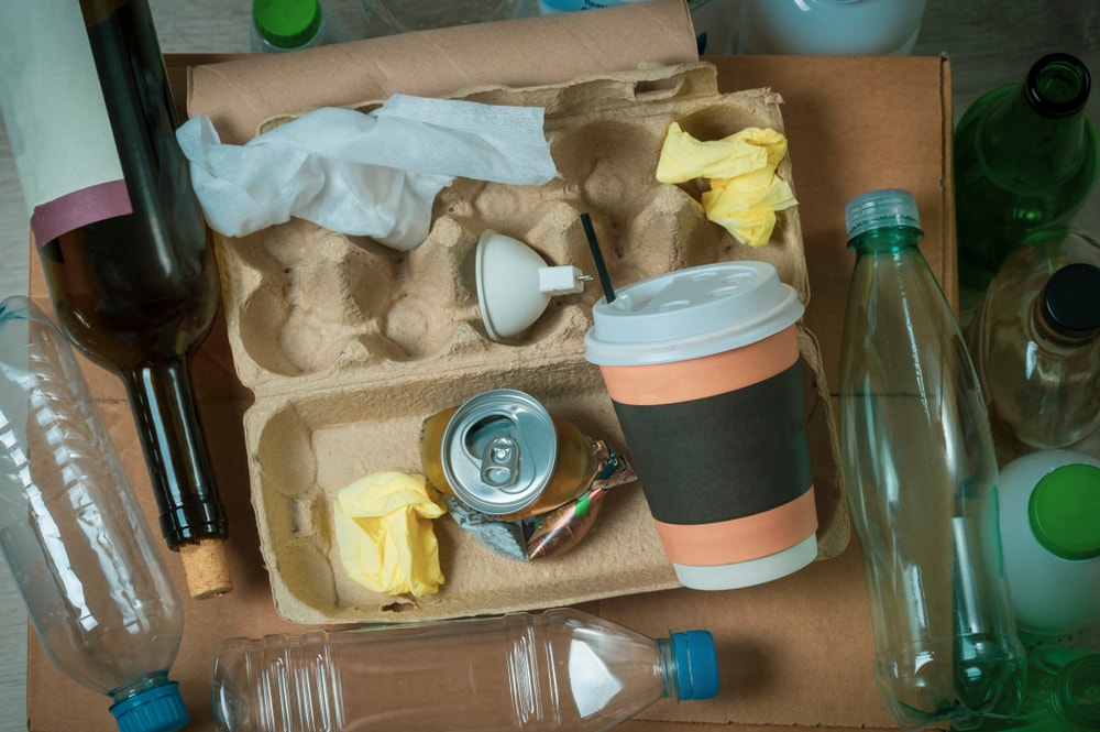 a pile of food waste including cardboard, coffee cups, apples, and soda cans