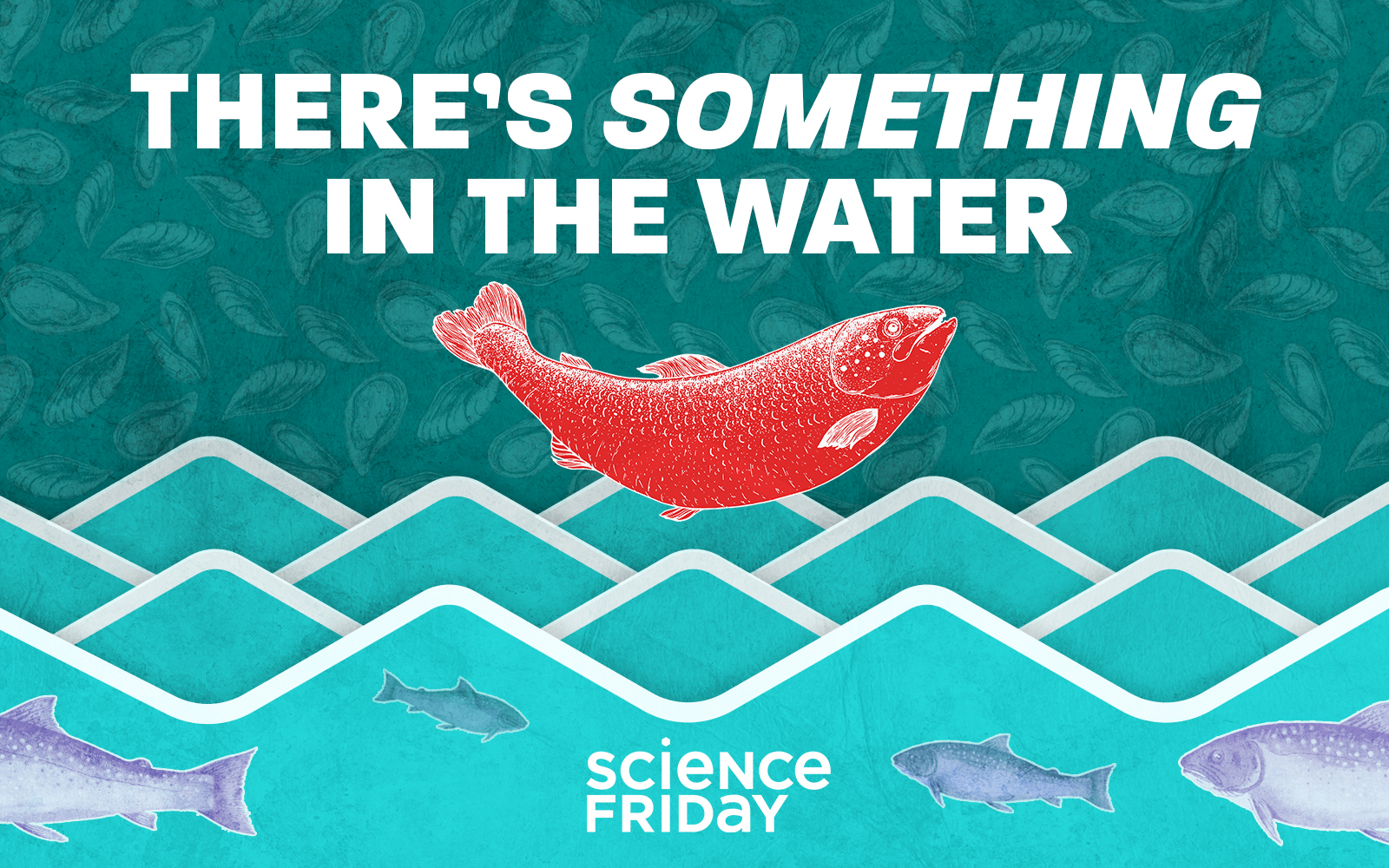 illustrated scene of fish in water and mussels in the background. in the center is a bright red salmon, with the words 'there's something in the water' and the logo reading 'science friday'