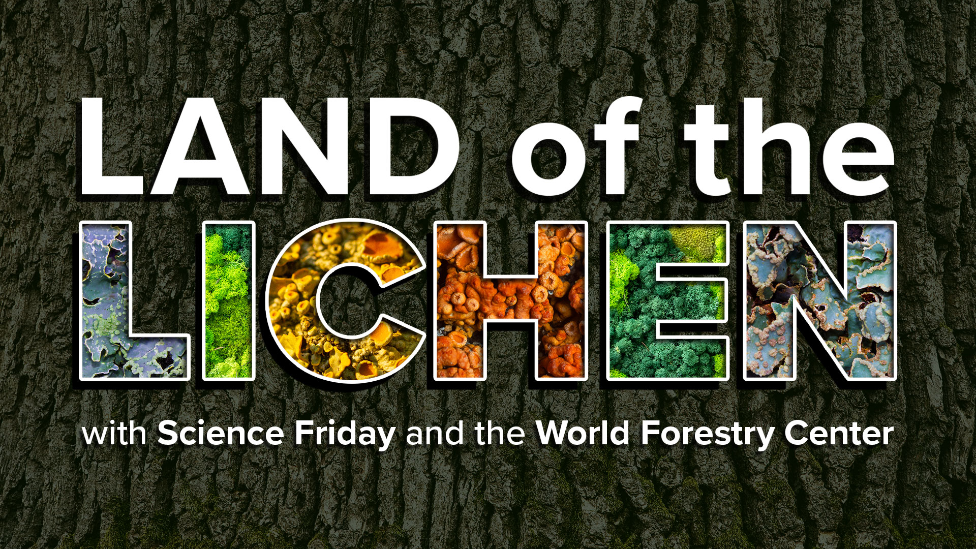 a textured tree bark background with the words 'land of the lichen, with science friday and the world forestry center', with different lichen textures featured inside the word 'lichen'