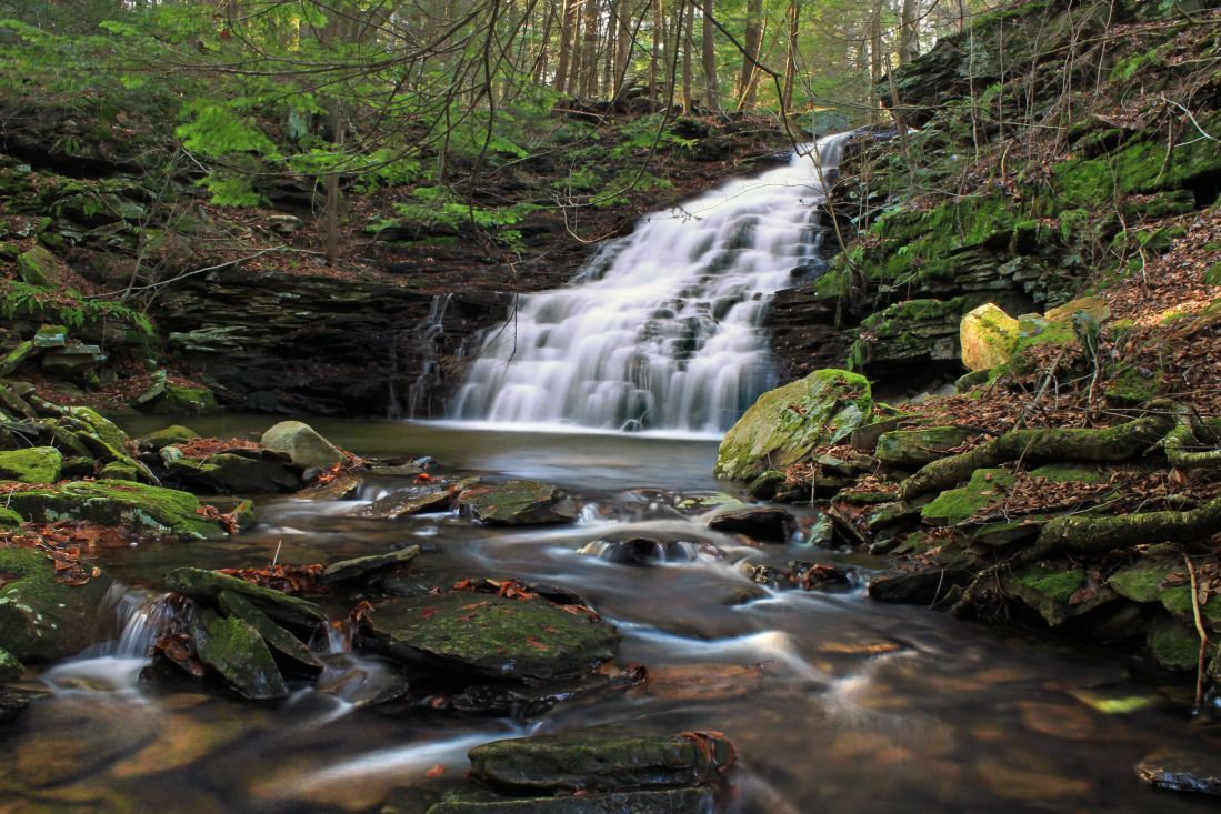A waterfall in a wooded glen