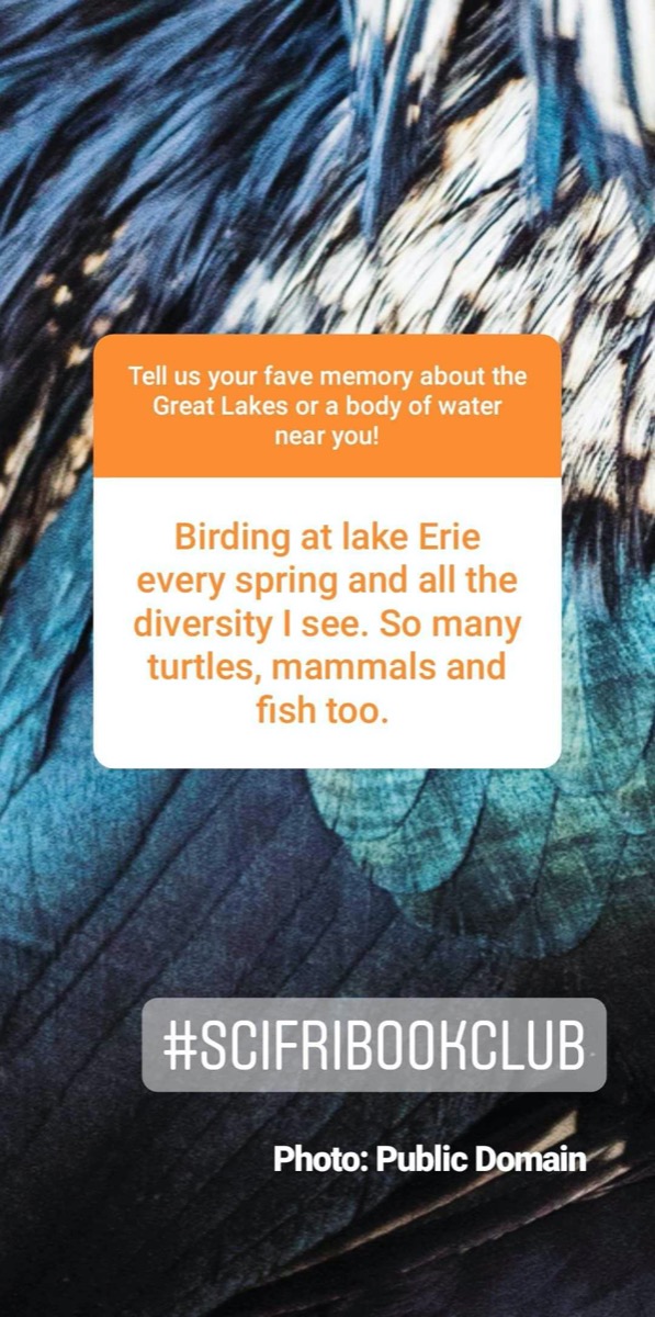 a screenshot of an instagram story. comment reads: birding at lake erie every spring and all the diversity i see. so many turtles, mammals, and fish too